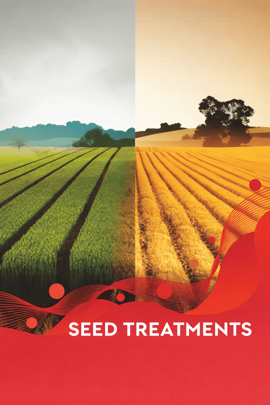 Home 003seed treatment