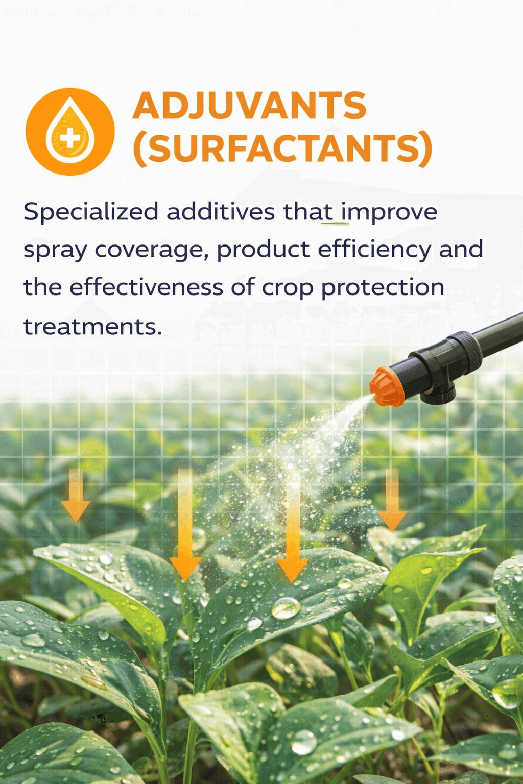Home surfactants
